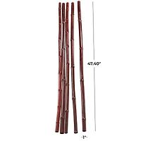 47" Dried Plant Sticks Natural Foliage