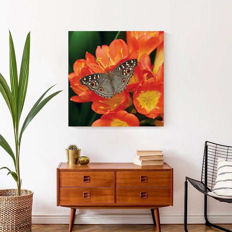 Butterfly On Orange Flower 24" x 24" Canvas Wall Art