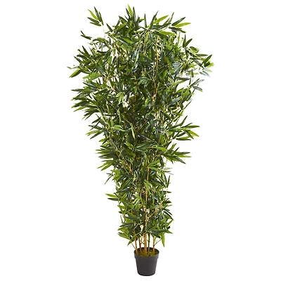 6ft. Potted Bamboo Tree