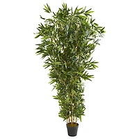 6ft. Potted Bamboo Tree