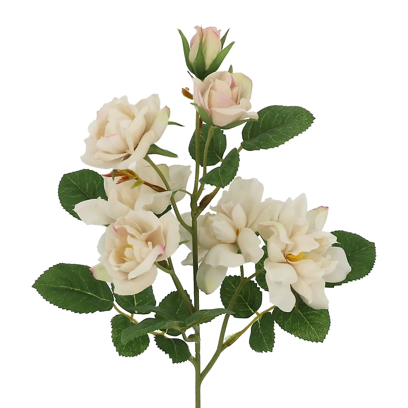 23" Beige Multi Rose Stem by Ashland®