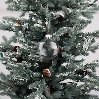 3.5" DIY Clear Glass Disc Ornaments, 4ct.