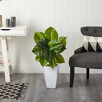 3ft. Large Philodendron Leaf Plant in White Metal Planter