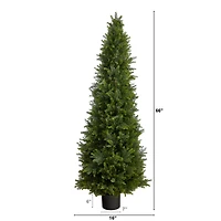 5.5ft. Potted Cypress Cone Topiary Tree