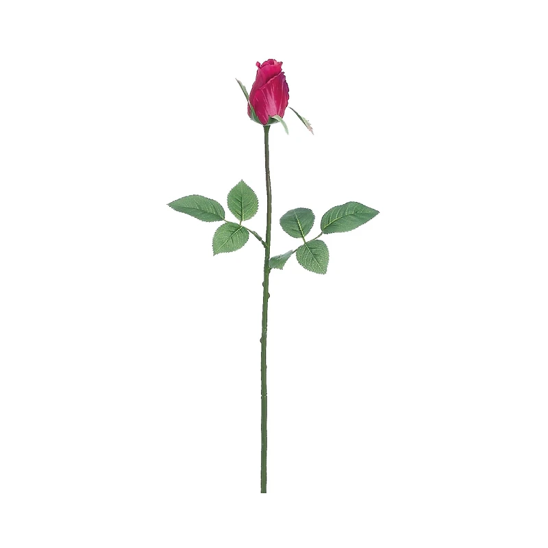 Boysenberry Rose Bud Spray