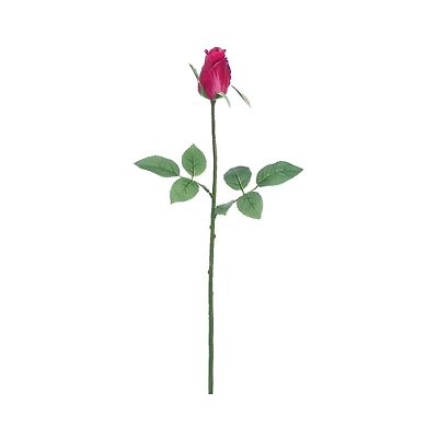 Boysenberry Rose Bud Spray