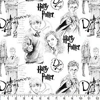 Harry Potter™ Mystery of Magic Cotton Fabric