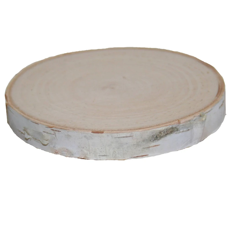 Wilson® Enterprises Birch Coasters, 8ct.