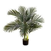3ft. Potted Golden Cane Palm Tree