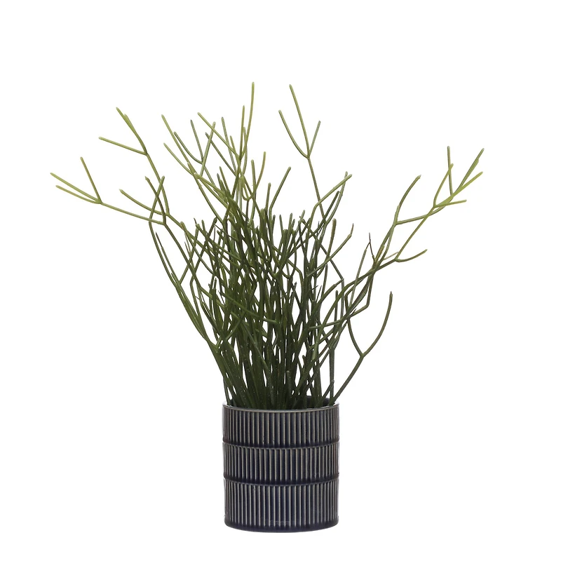 13" Pencil Cactus in Blue Ceramic Pot by Ashland®