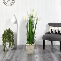 4.5ft. Wheat Plume Grass Plant in Country White Planter