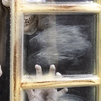 2.5ft. Lighted & Animated Opening Window Halloween Décor