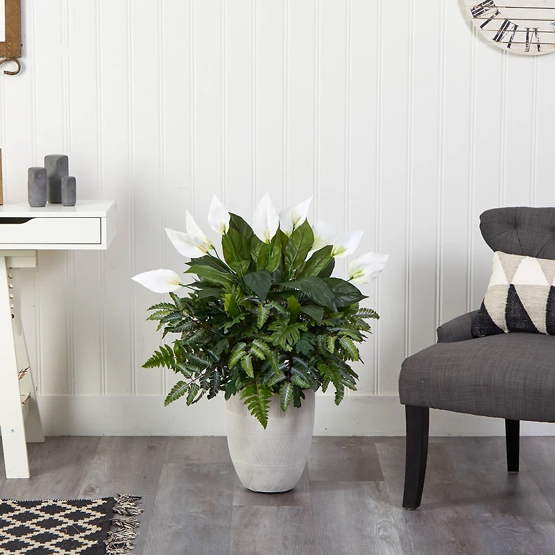 3ft. Mixed Peace Lily Plant in Decorative White Planter