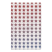 America The Beautiful Tea Towel Set
