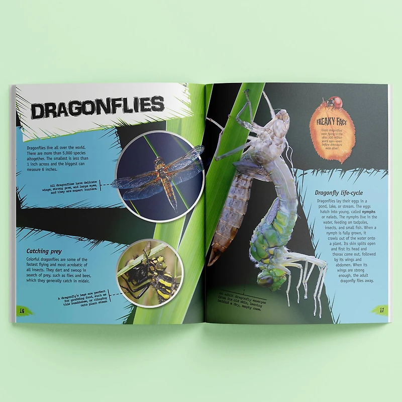 Incredible But True: Bugs & Insects