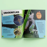 Incredible But True: Bugs & Insects