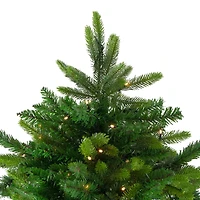 9ft. Pre-Lit Real Touch™ Full Gunnison Pine Artificial Christmas Tree, Warm White LED Lights