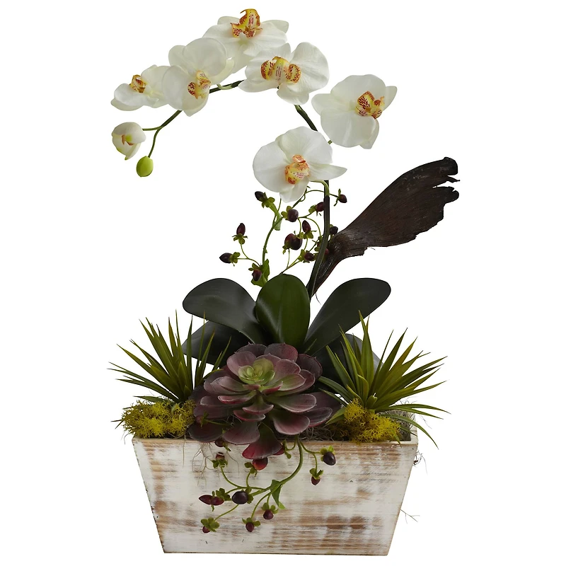 21" Orchid & Succulent Garden in White Wash Planter