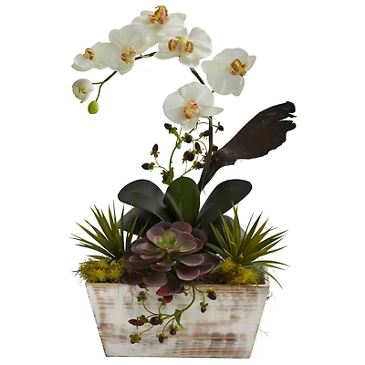 21" Orchid & Succulent Garden in White Wash Planter