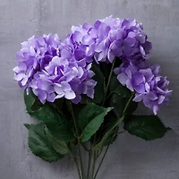 Purple Hydrangea Bush by Ashland®