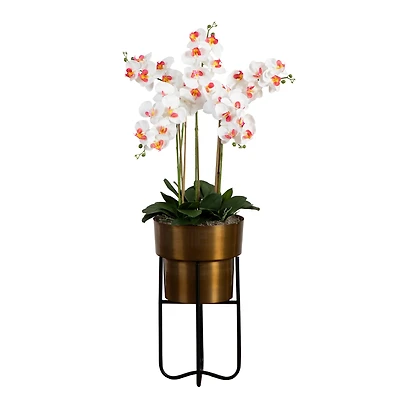 4ft. White Orchid Arrangement in Brass Metal Planter with Stand