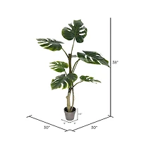 3ft. Potted Split Leaf Philodendron