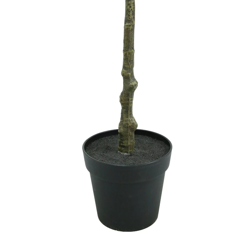 6ft. Potted Shady Lady Tree by Ashland®