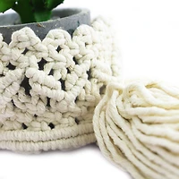Macramé Planter Kit by Loops & Threads®