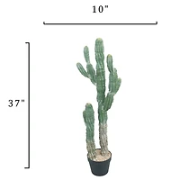 3ft. Potted Green Cactus Tree by Ashland®