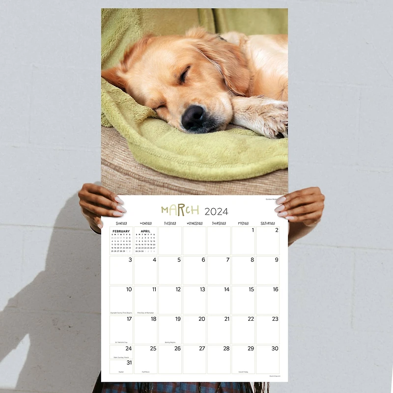 TF Publishing 2024 Dog Dreams Wall Calendar