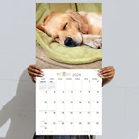 TF Publishing 2024 Dog Dreams Wall Calendar