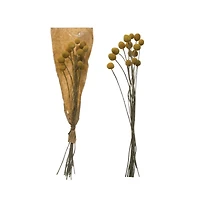 Hello Honey® Yellow Billy Ball Bunch