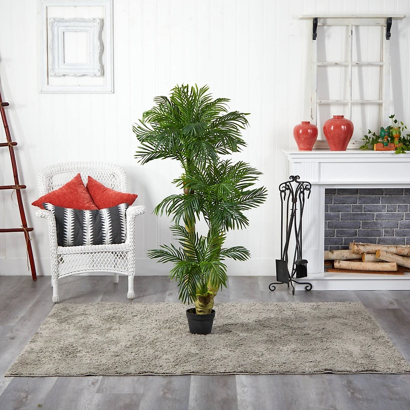 5ft. Potted Triple Phoenix Palm Tree