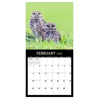 TF Publishing 2025 Owls Wall Calendar