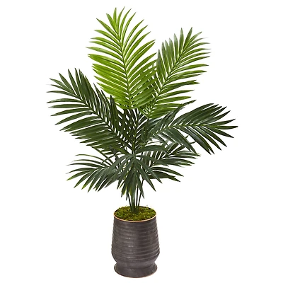 4ft. Kentia Palm Tree in Ribbed Metal Planter