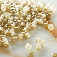 12 Pack: Miyuki® Delica Beads