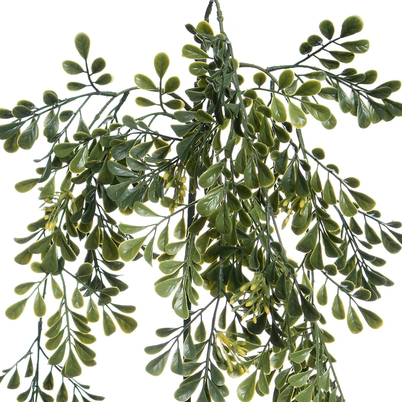 31" Hanging Seeded Boxwood Stem by Ashland®