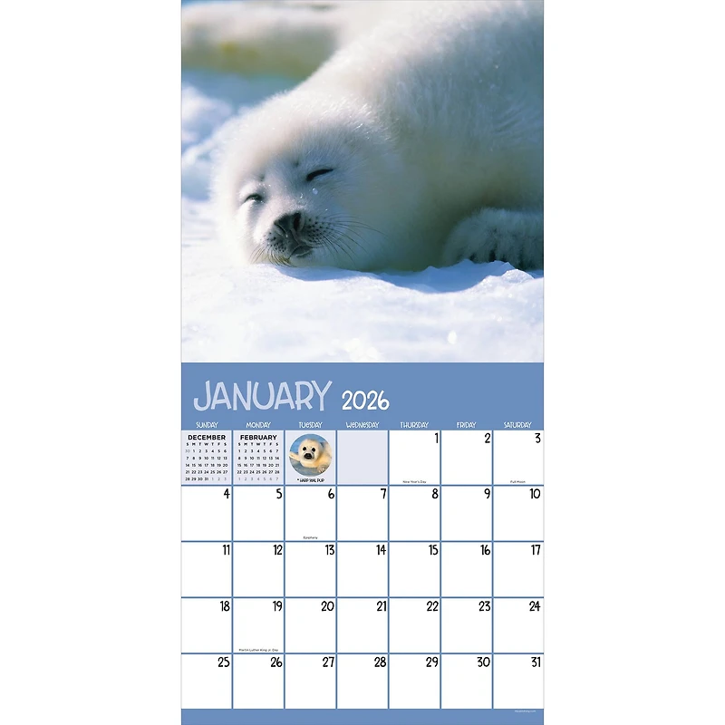2026 Baby Animals Wall Calendar