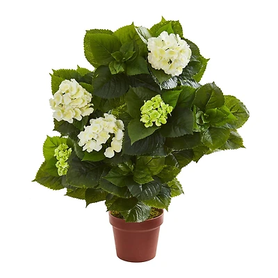2.5ft. Potted White & Green Hydrangea Plant