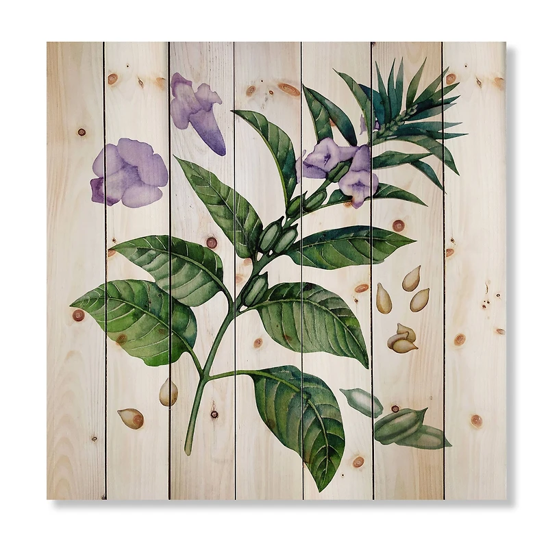 Designart - Purple Sesame Flowers WIth Green Leaves