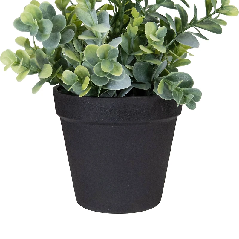 10" Green Chinaberry Plant in Black Pot