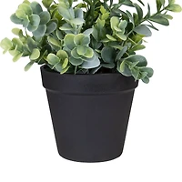10" Green Chinaberry Plant in Black Pot