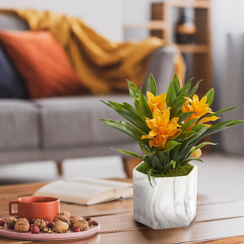 11" Bromeliad Plant in Marble Finished Vase