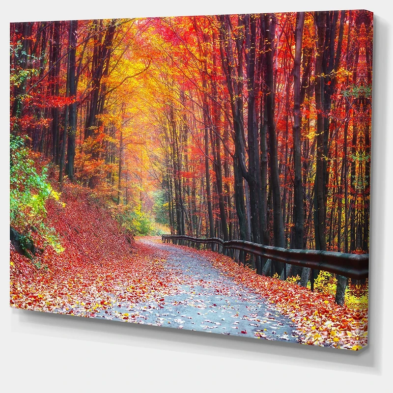 Designart "Road in Beautiful Autumn Forest" Modern Forest Canvas Art
