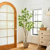 6ft. Artificial Minimalist Japanese Pieris Tree