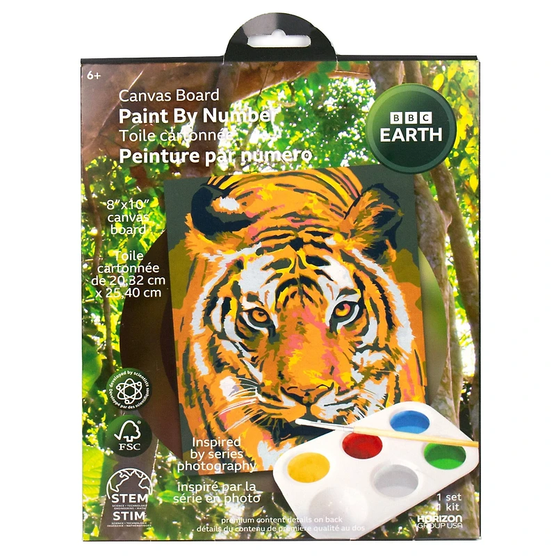 BBC Earth Canvas Board Tiger Paint by Number