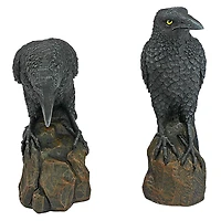 Design Toscano 6" Mystic Night Raven Statues