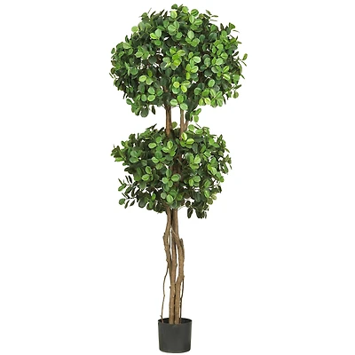 5.5ft. Potted Eucalyptus Double Ball Topiary