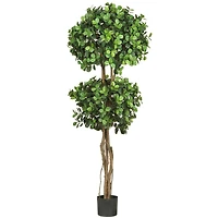 5.5ft. Potted Eucalyptus Double Ball Topiary