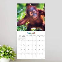 TF Publishing Baby Animals Mini Calendar
